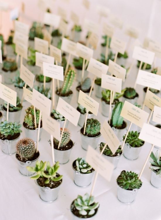 tendance mariage cactus marque place