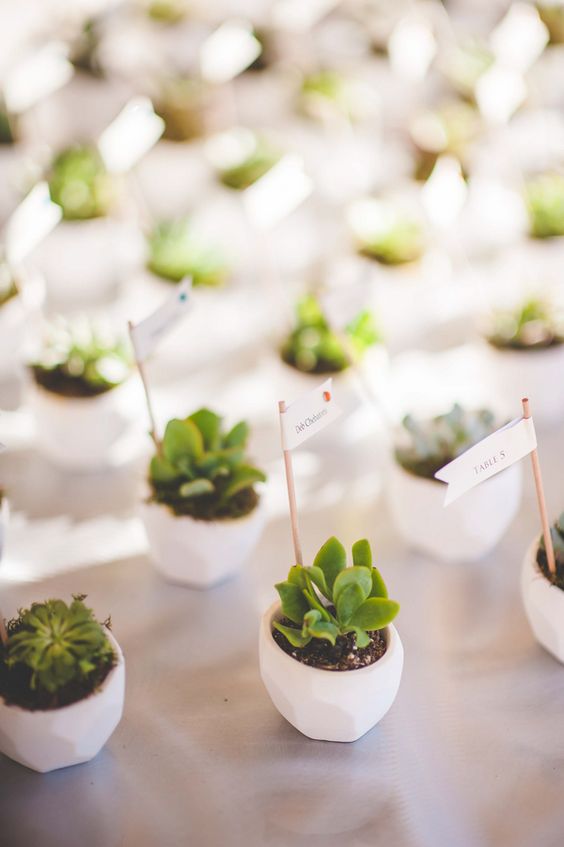 idees-cadeaux-invites-mariage-petites-plantes