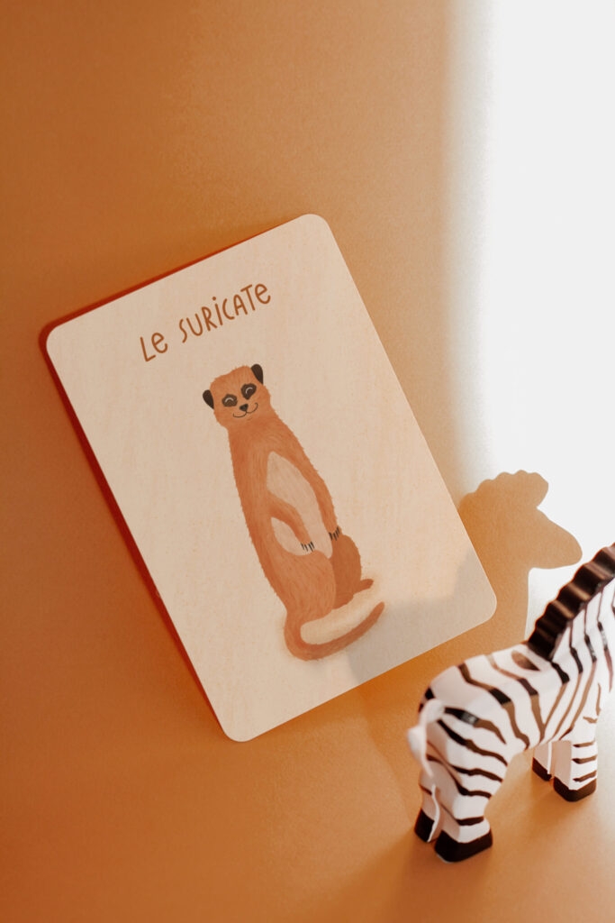 cartes animaux de la savane