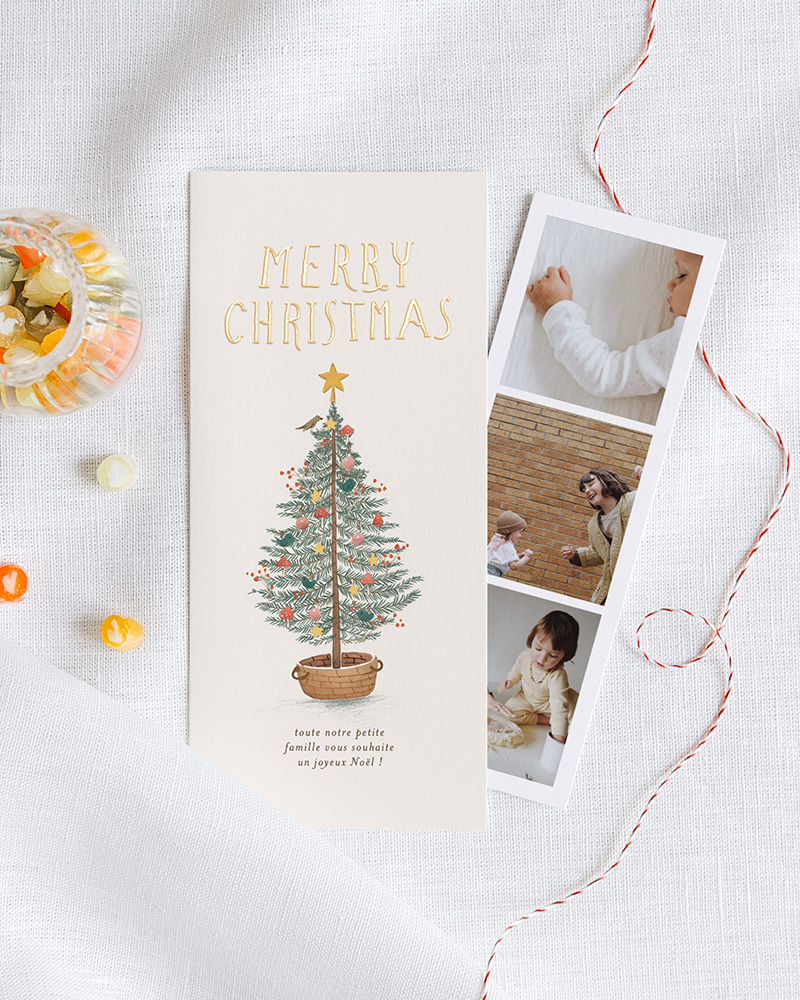 Carte de voeux under the tree, Collaboration Cotton Bird x Mer Mag.
