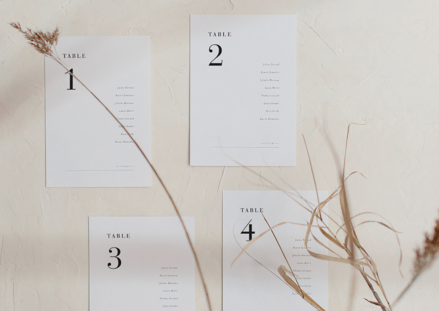 shooting-inspiration-mariage-minimaliste-alba-plan-de-table