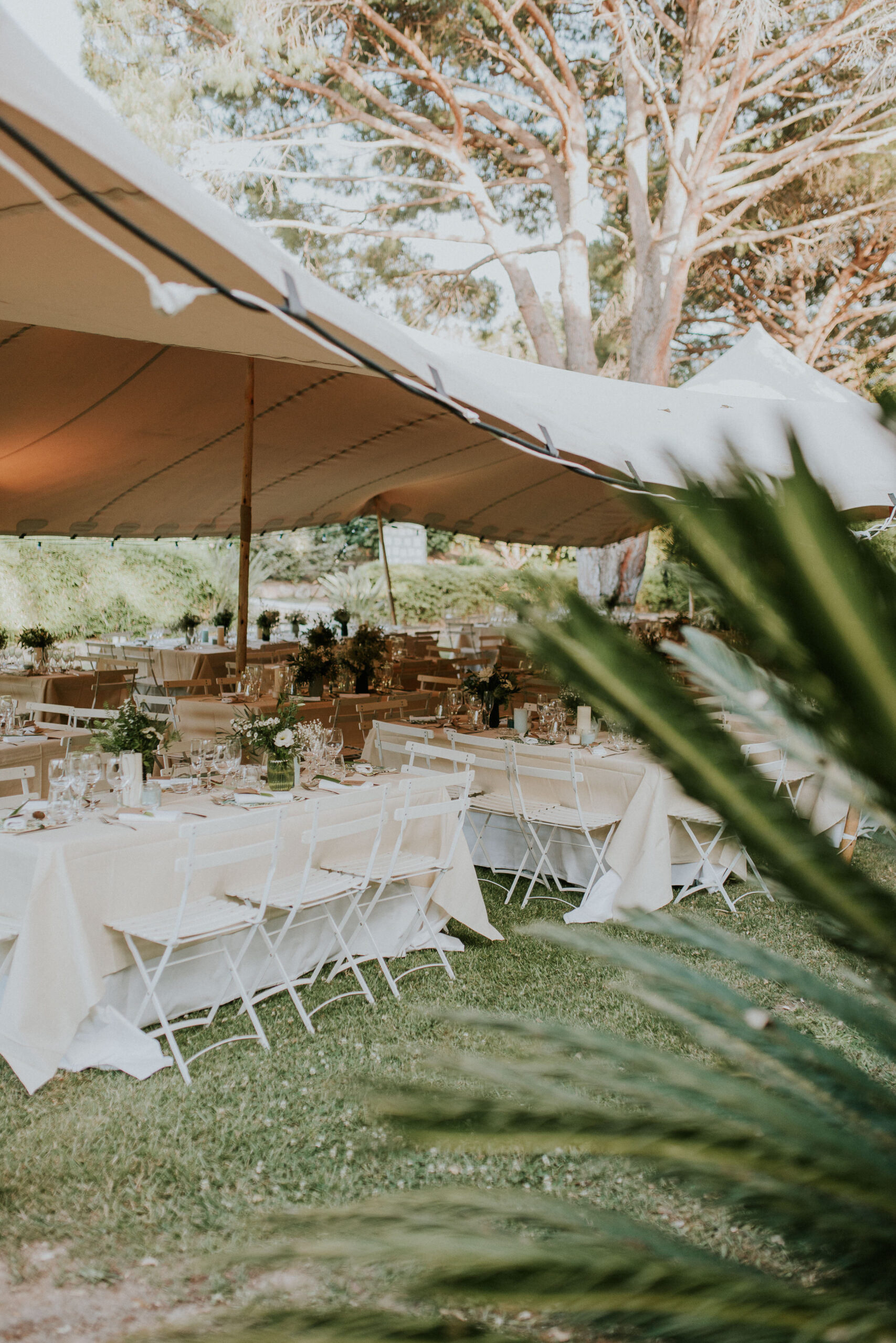 lieu-de-reception-tente