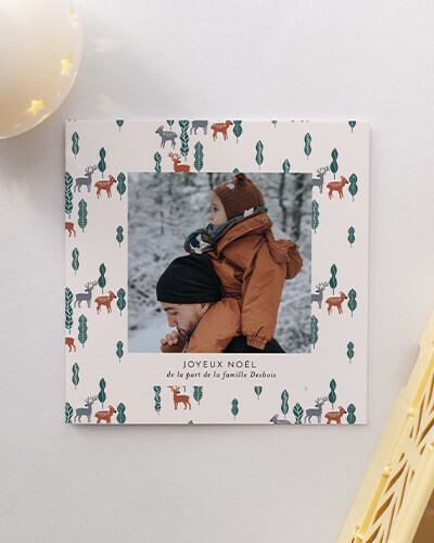 Carte de voeux avec photo Toundra I