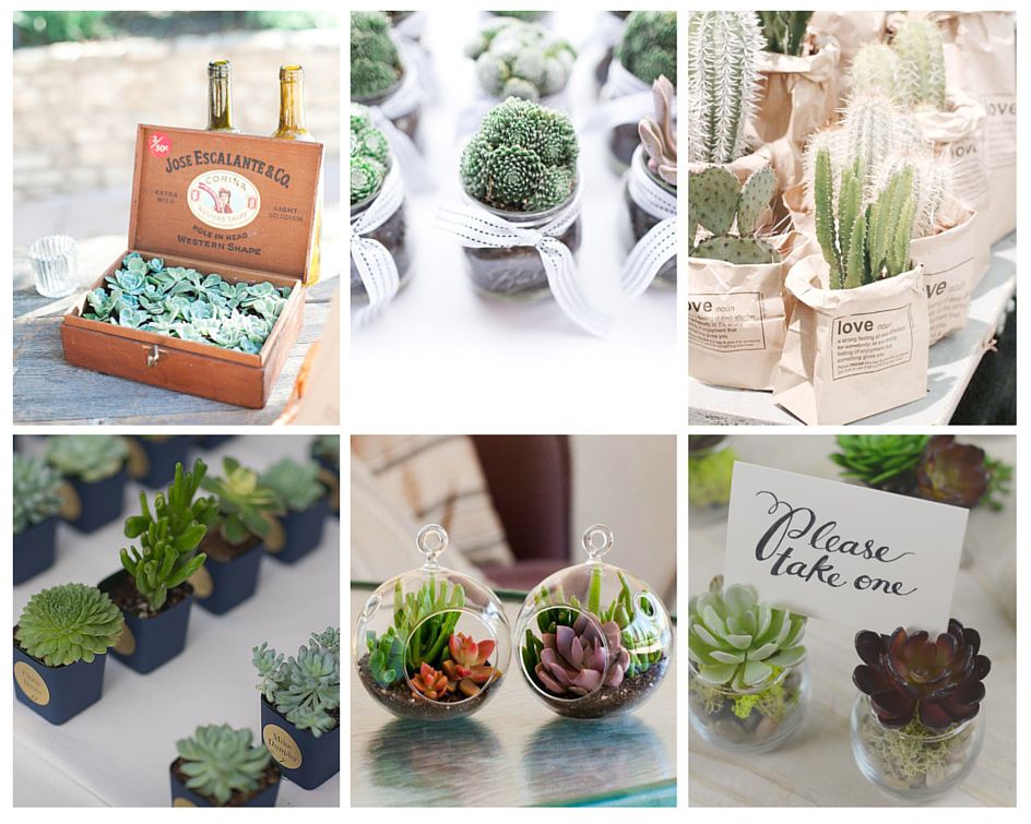succulentes cadeaux