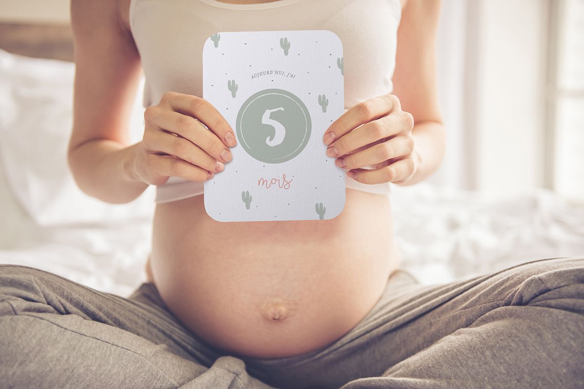 cartes etapes bebe evolution grossesse