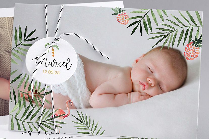 Nouveautés Naissance « Paradis Tropical »