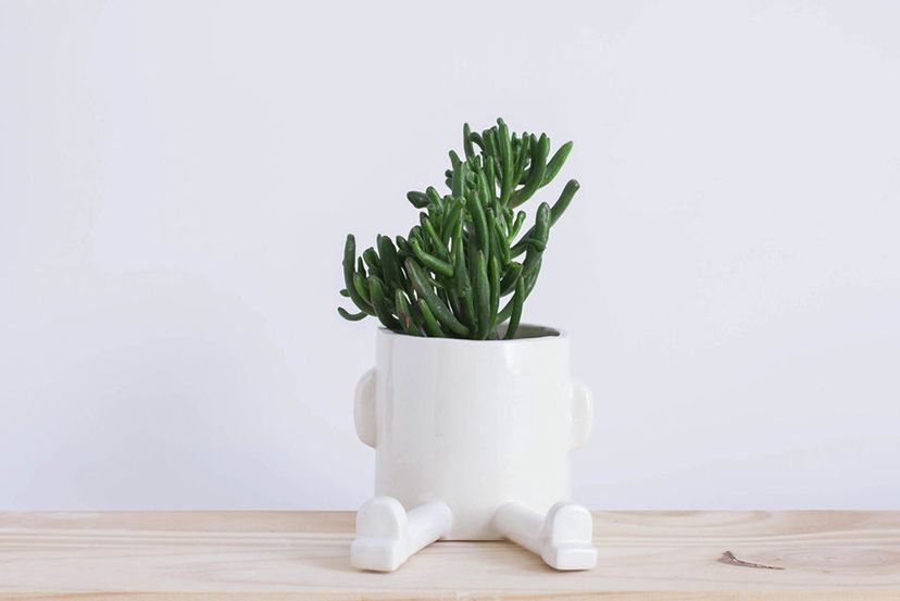 { Follow Friday } 4 comptes Instagram  qui nous inspirent  #5