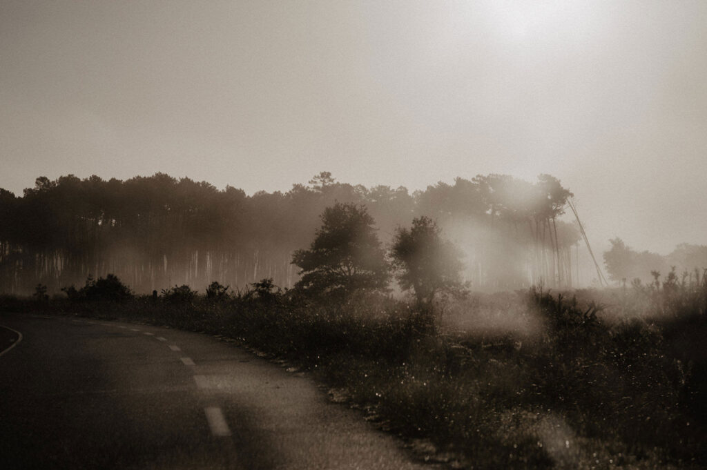 paysage landes