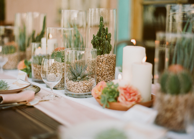 tendace mariage cactus photophores