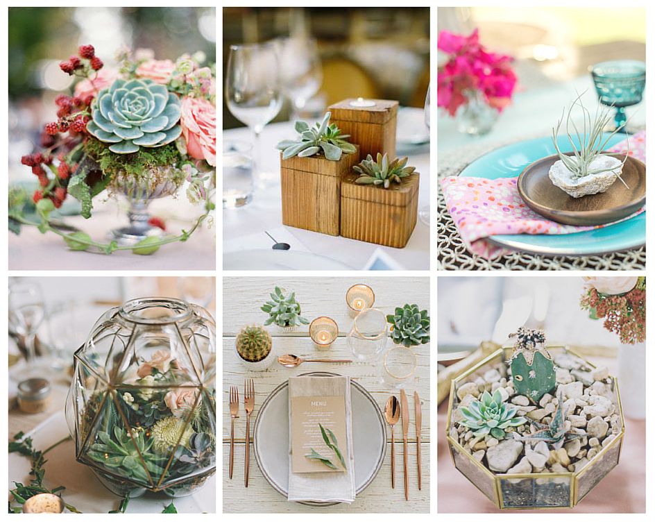 succulentes tables