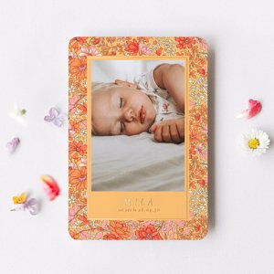 faire-part naissance Louise Misha