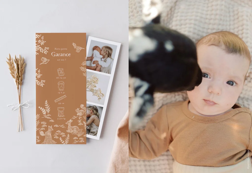 Nos adorables faire-part d'automne
