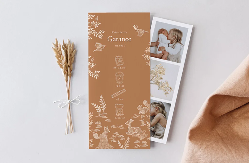 Faire-part Naissance