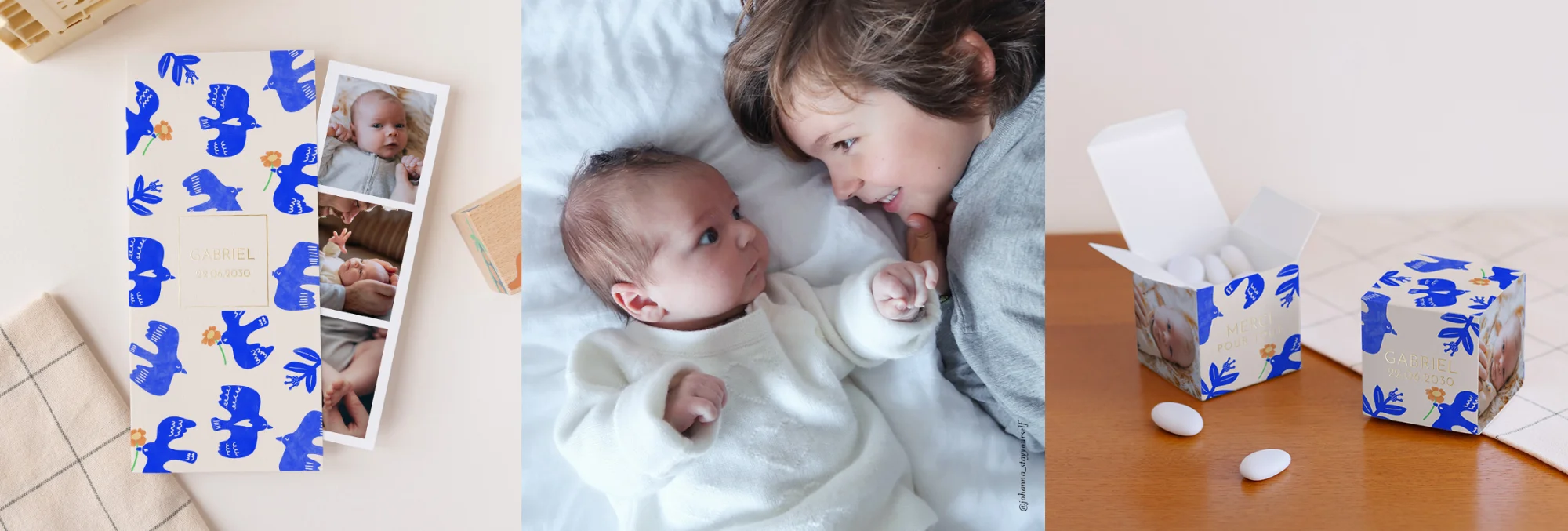 Johanna x cotton bird