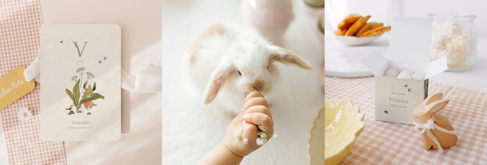 Cotton Bird x Moulin Roty