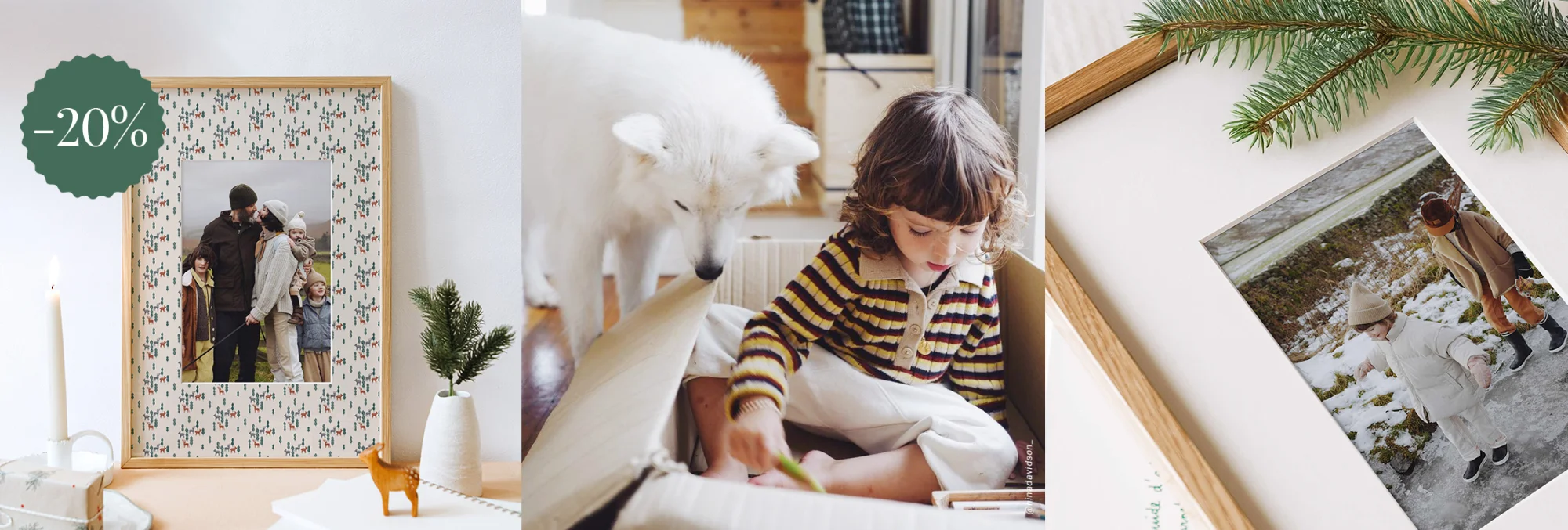 Découvrez la collection