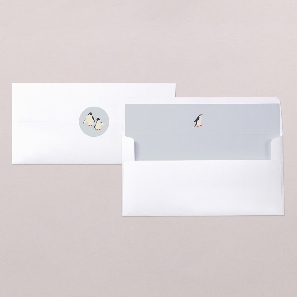 Enveloppes et intérieurs d'enveloppes - Cotton Bird