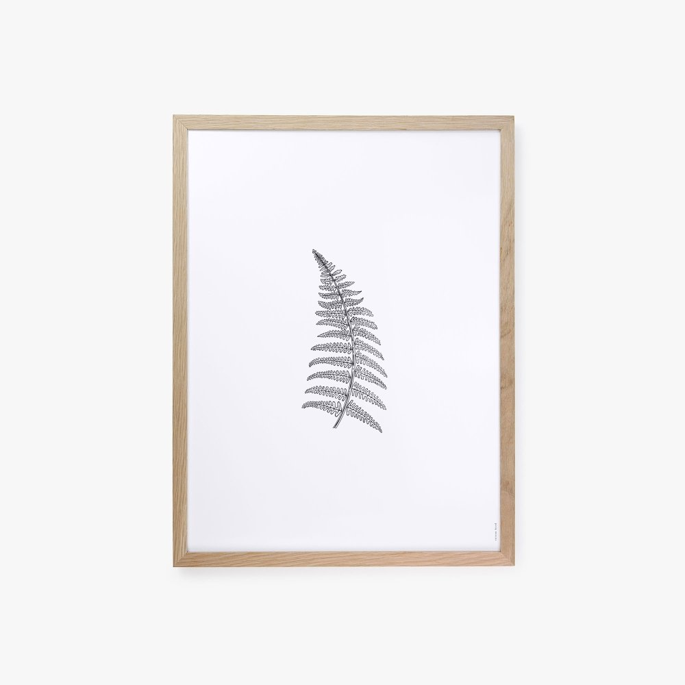 Herbarium White II