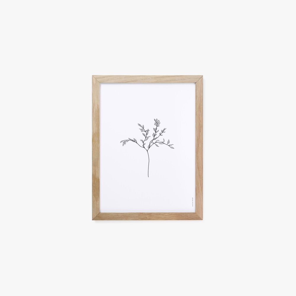 Herbarium White I