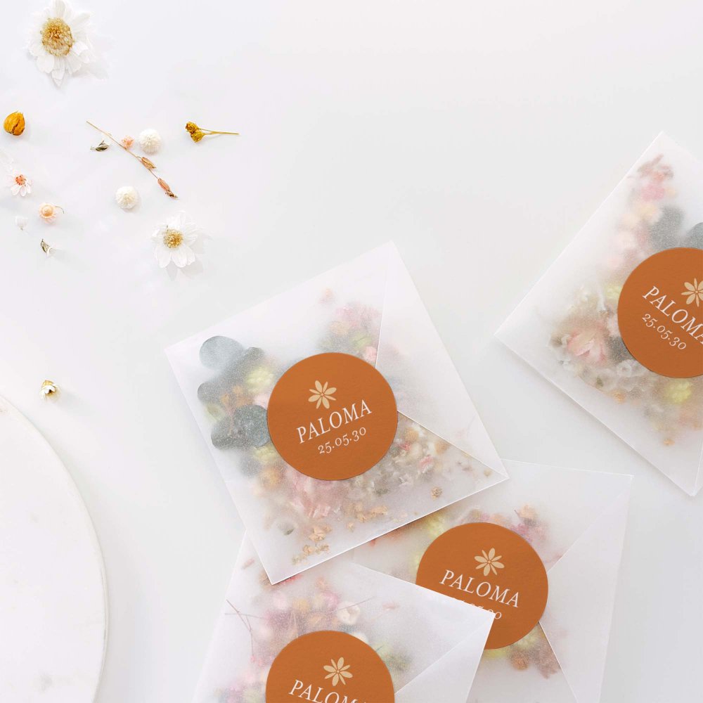 Photomaton-terracotta