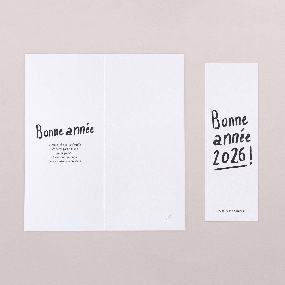 Precious year - Snow 