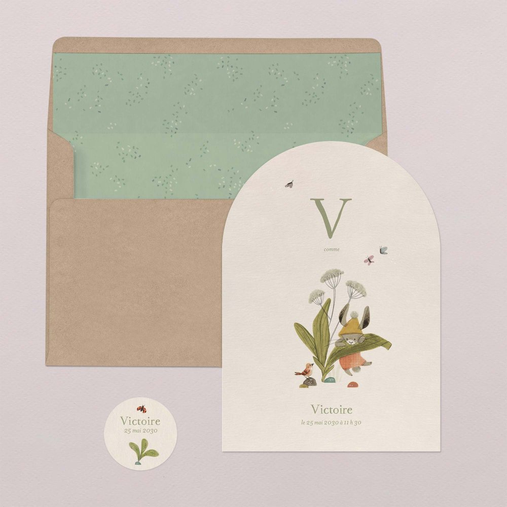 Fleur de sureau