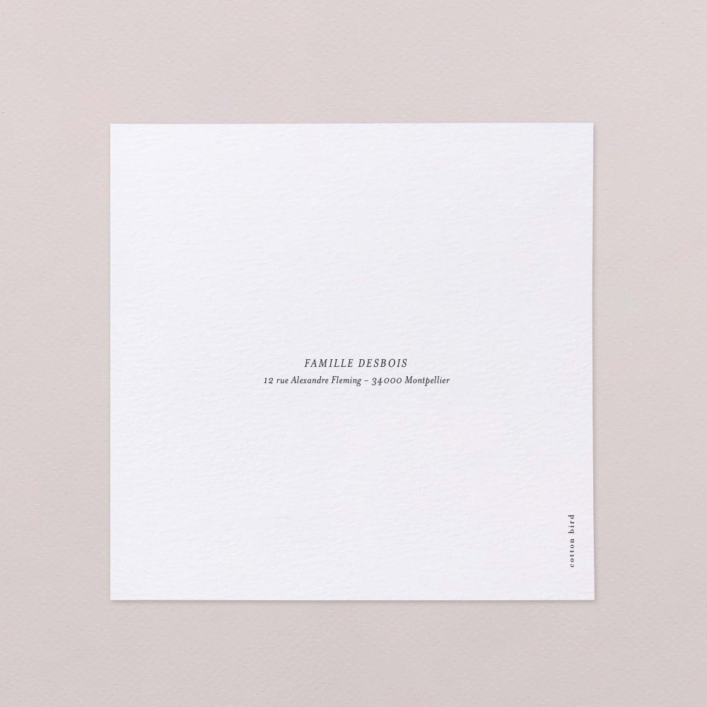 Precious year - Snow 