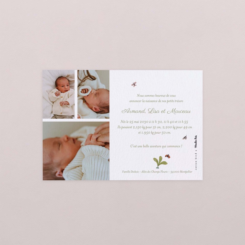 Trois petits lapins