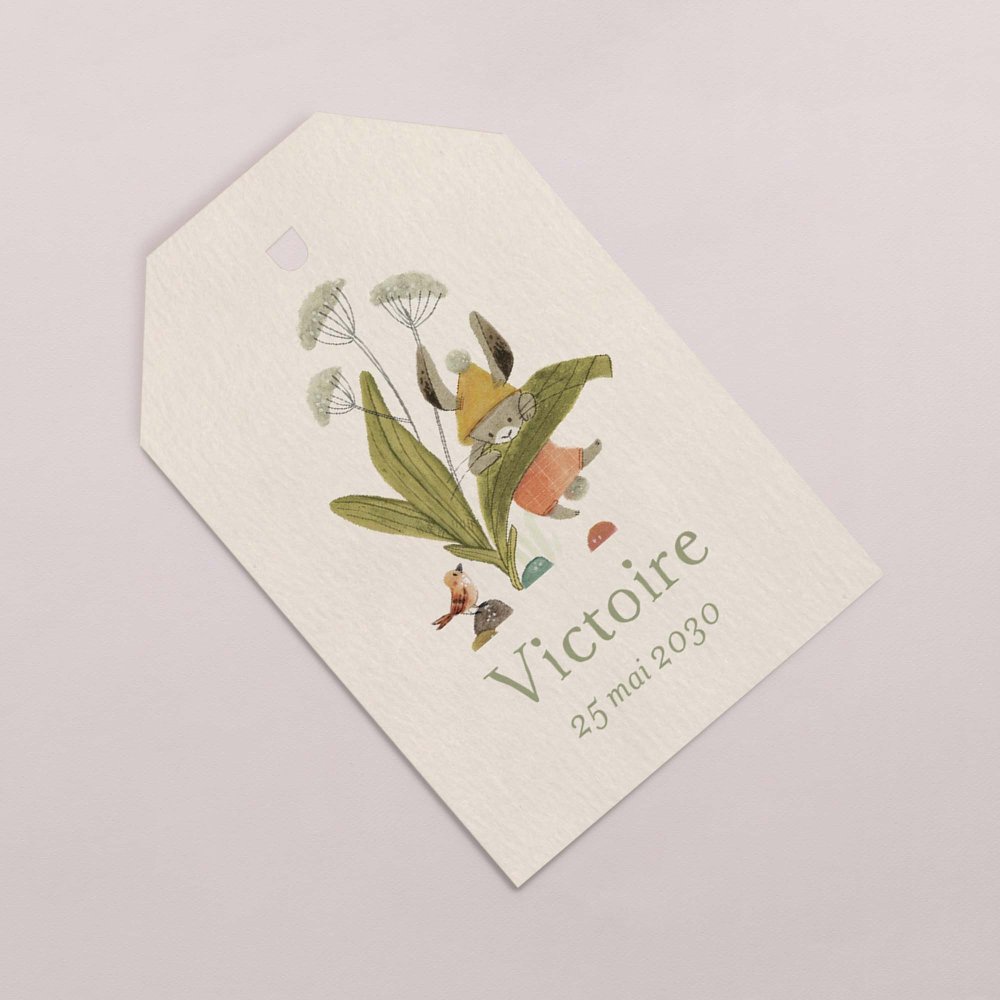 Fleur de sureau