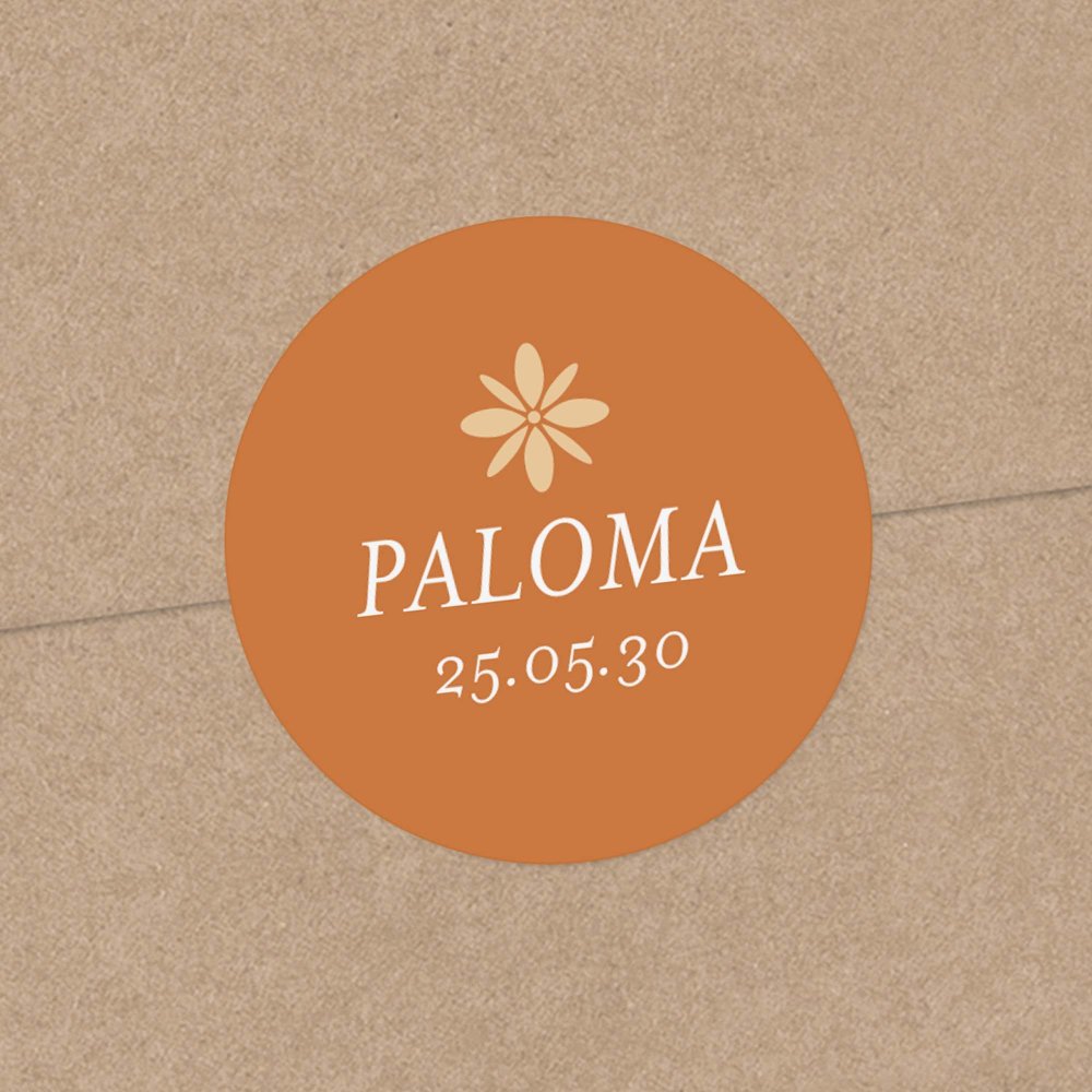 Photomaton-terracotta