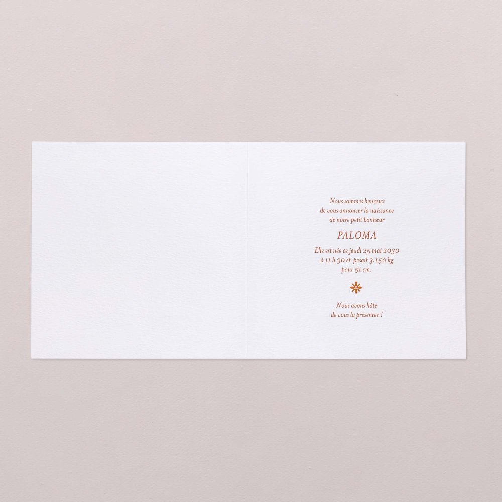 Photomaton-terracotta