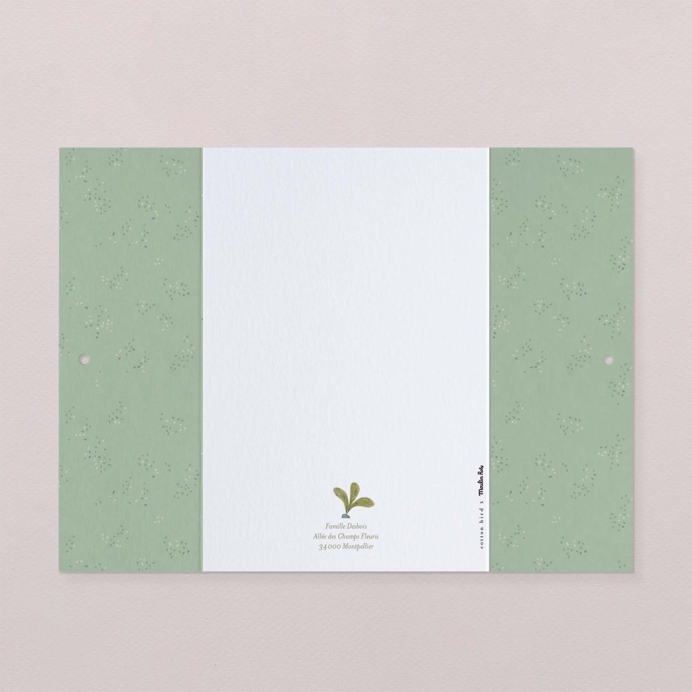 Fleur de sureau
