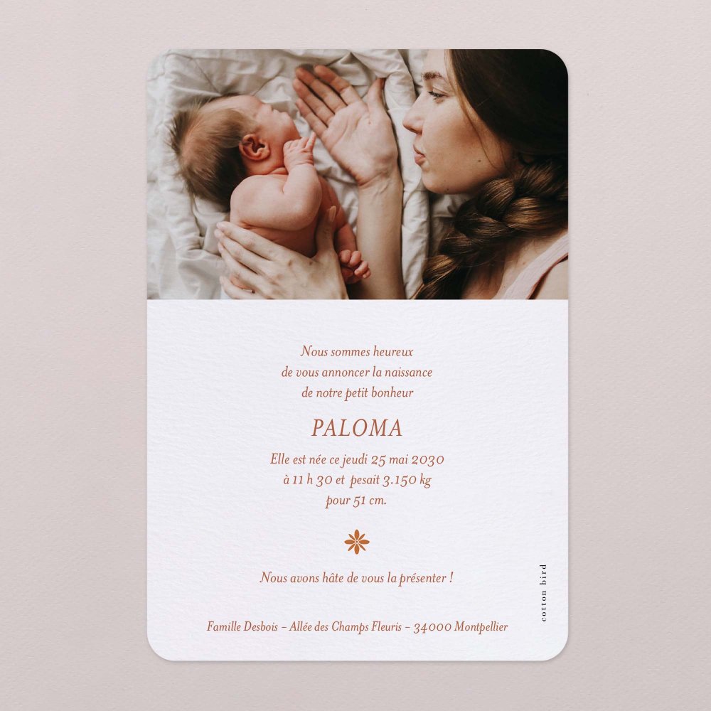 Photomaton-terracotta