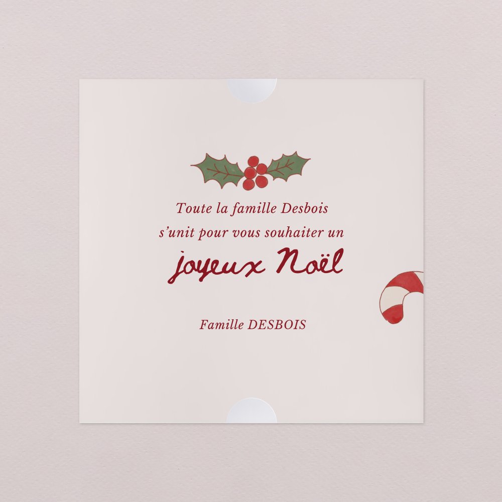 Hotte de Noël