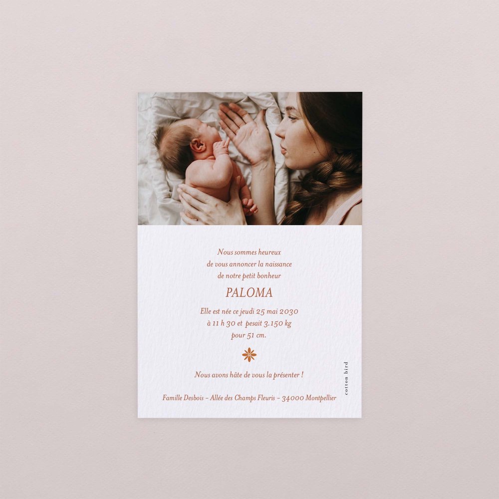Photomaton-terracotta
