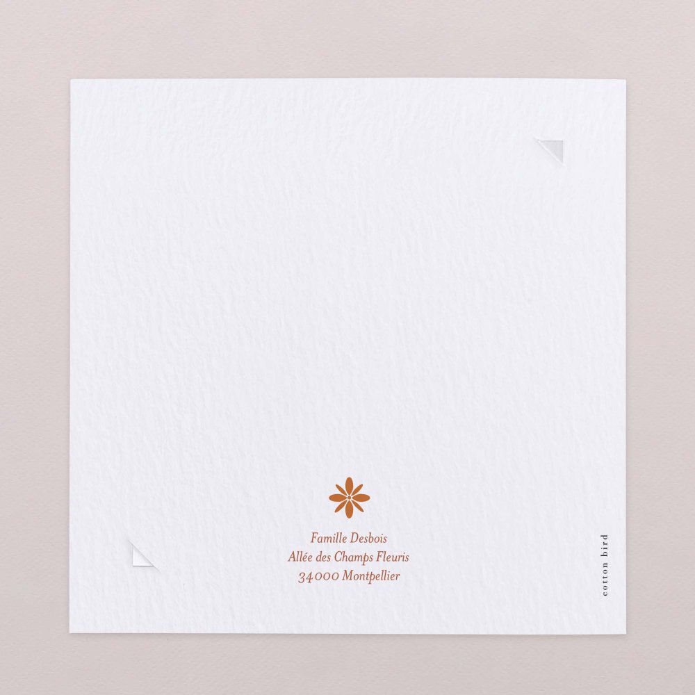 Photomaton-terracotta