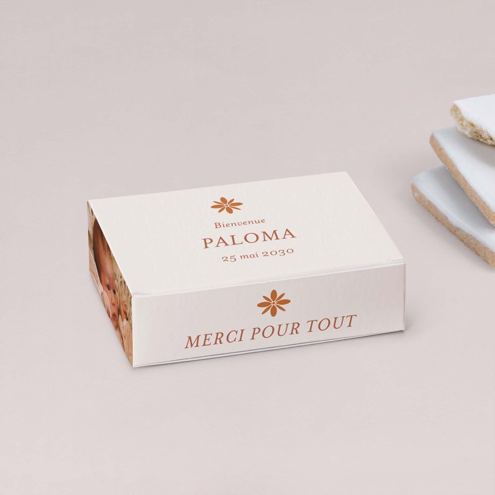 Photomaton-terracotta