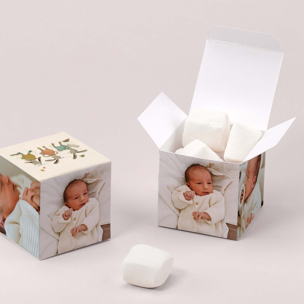 Trois petits lapins