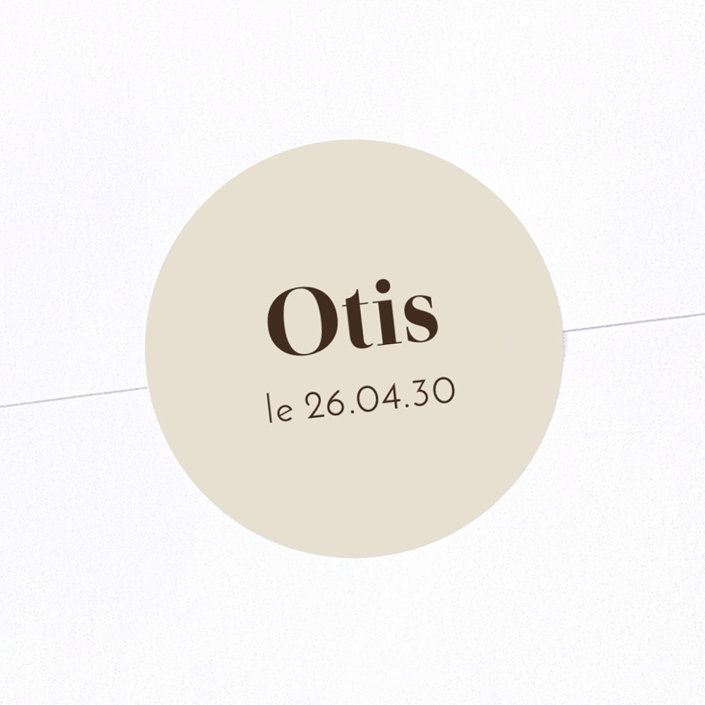 Dogs & dogs - Noisette