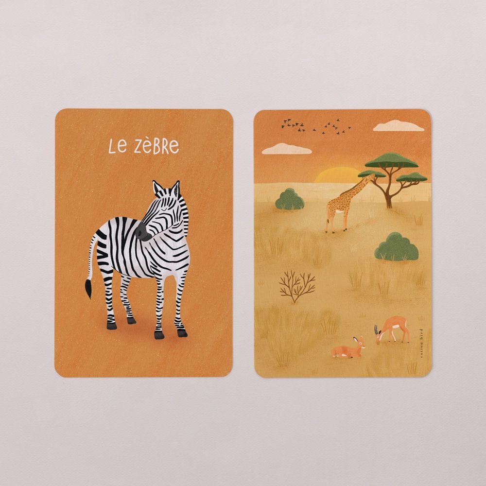 Cartes animaux de la savane