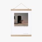 Pola