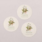 Fleur de sureau