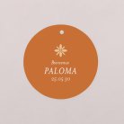 Photomaton-terracotta