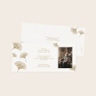 Ginkgo