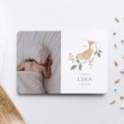 Joli colibri