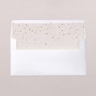 Intérieur d'enveloppe