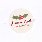 Hotte de Noël