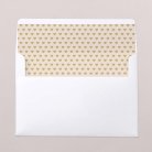 Intérieur d'enveloppe