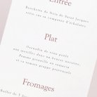 Aster