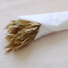Spigadoro naturel